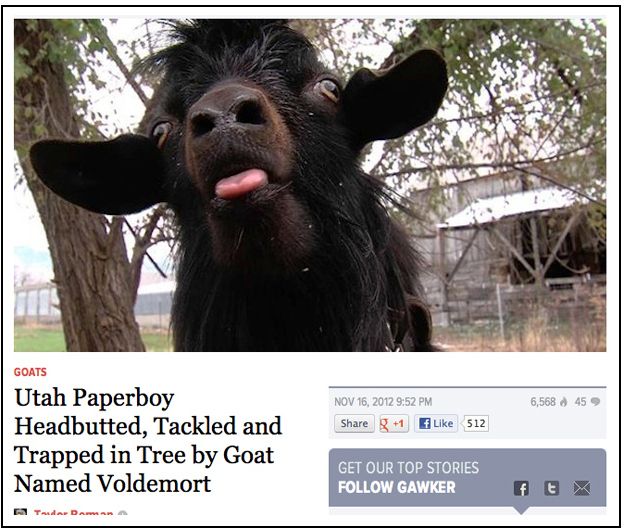 I hate Goats                 