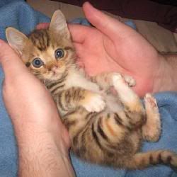 re: The Sublimely Cute!!!