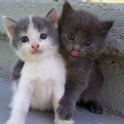 re: The Sublimely Cute!!!