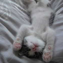 re: The Sublimely Cute!!!