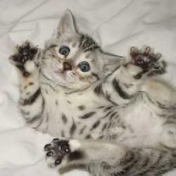 re: The Sublimely Cute!!!