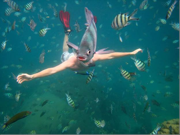 If Maggie Gallagher was a cat