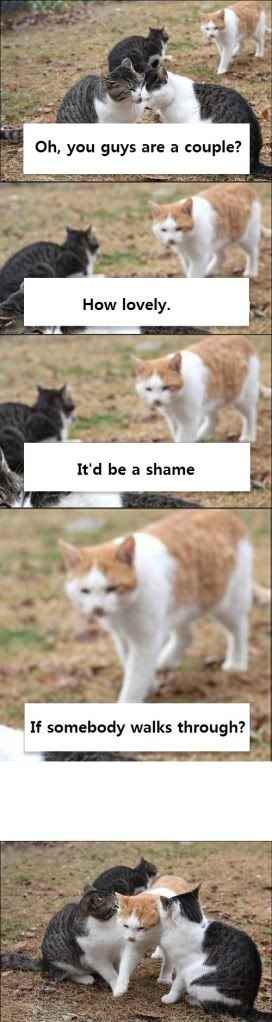 Anti PDA cat **Now with 100% more photobombs!**