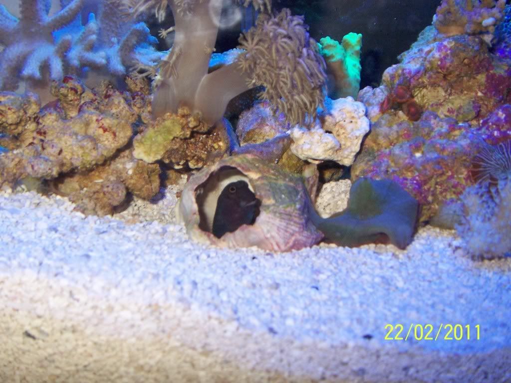100_0786.jpg