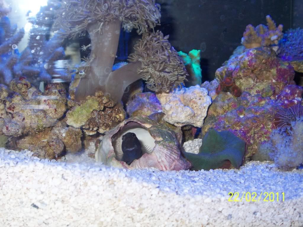 100_0791.jpg