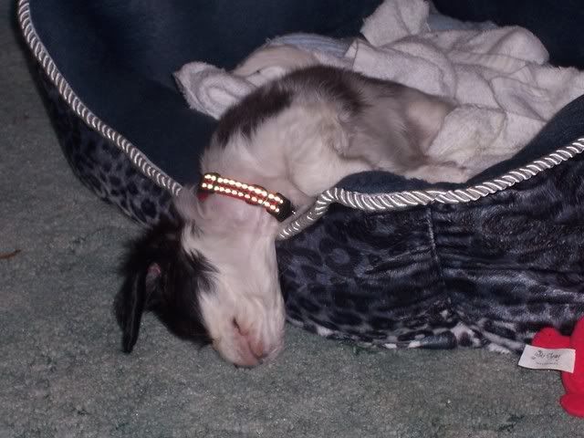 100_1447.jpg