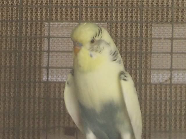 100_1502.jpg