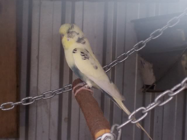 100_1505.jpg
