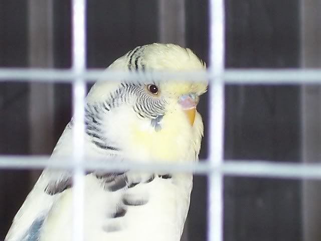 100_1508.jpg