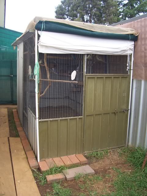 aviary-1.jpg