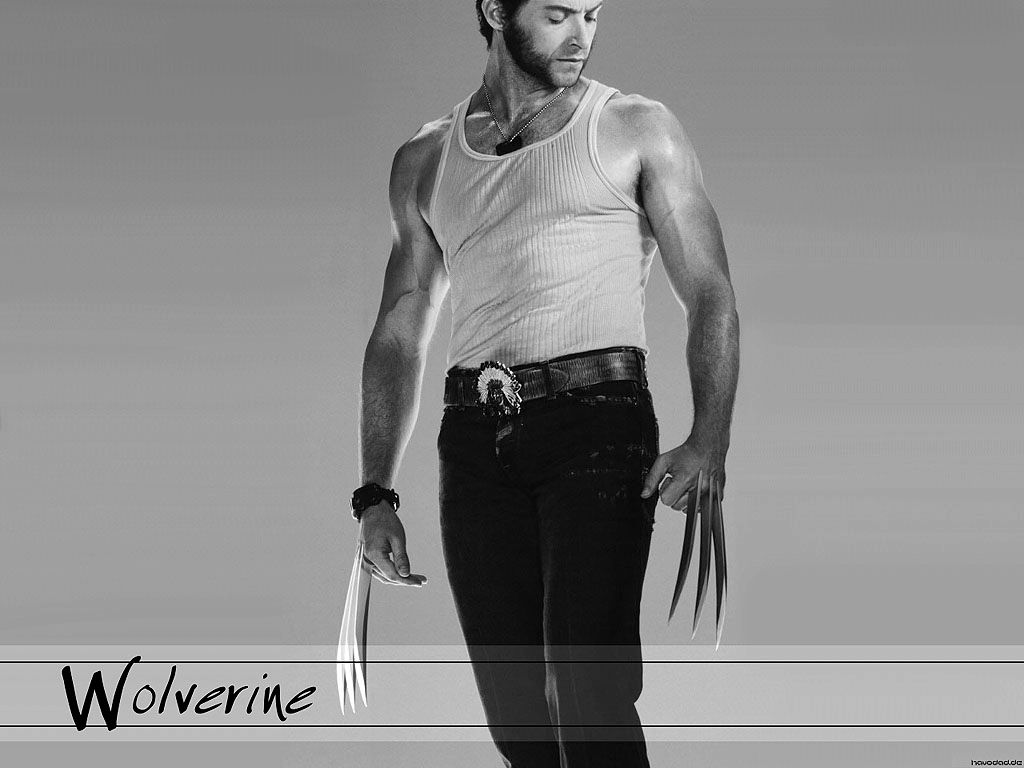 WolverineWallpaper.jpg · kitty--3 posted a photo
