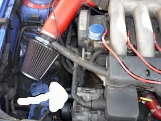 008-6-1.jpg