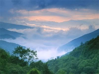 smokey mountains Pictures, Images and Photos