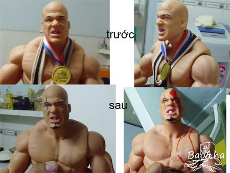 Giới thiệu nghệ thuật Mod Case - 19