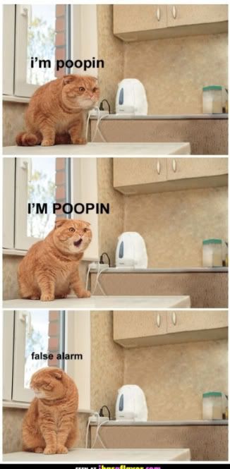 poop