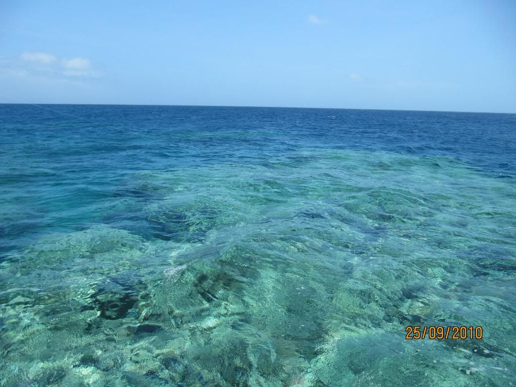 Bligh Reef