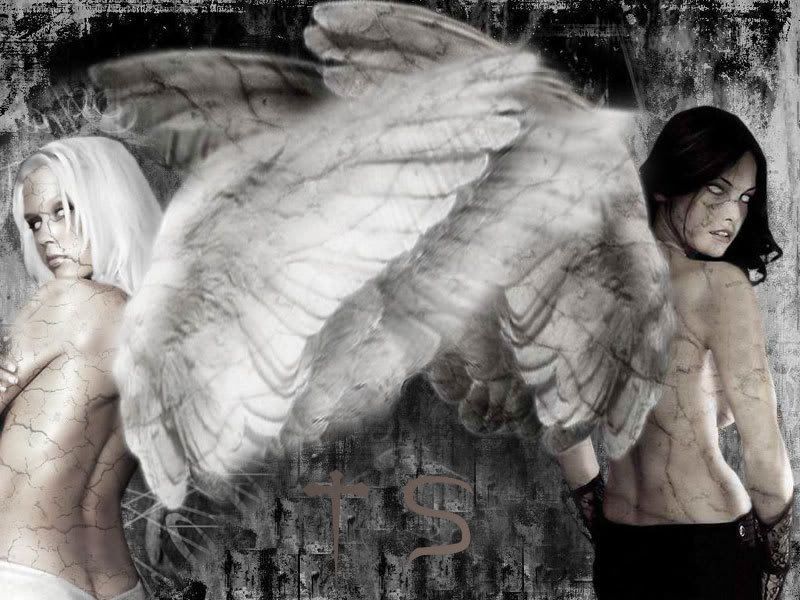 Dark and light angels Pictures, Images and Photos