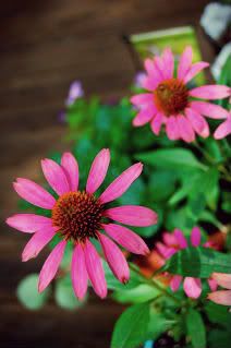 LastweekendinAugust2012-32