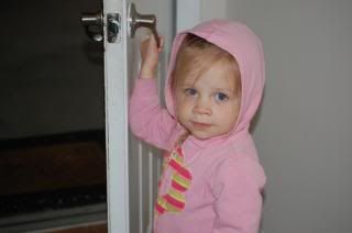  photo DSC_0108_zps1498943f.jpg