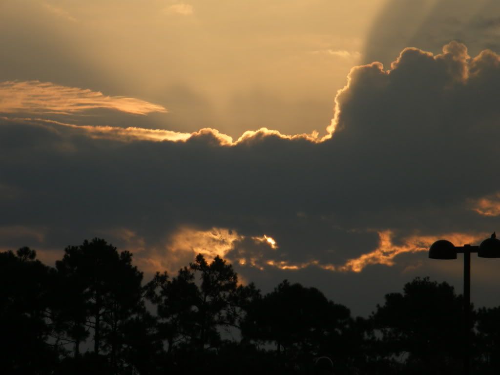 2008 0810CarterFamilyReunion1215