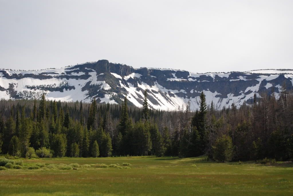 DSC_0018.jpg