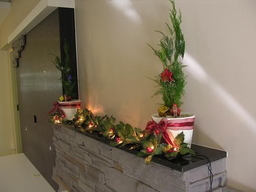 Fire_Place4_051208.jpg