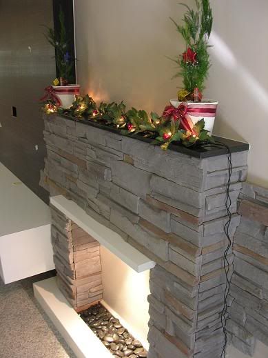 Fire_Place5_051208.jpg