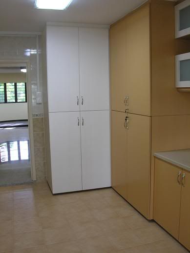 Kitchen_cupboard_051208.jpg