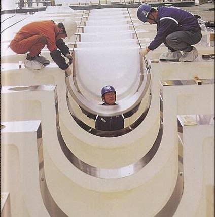 Picture1.jpg