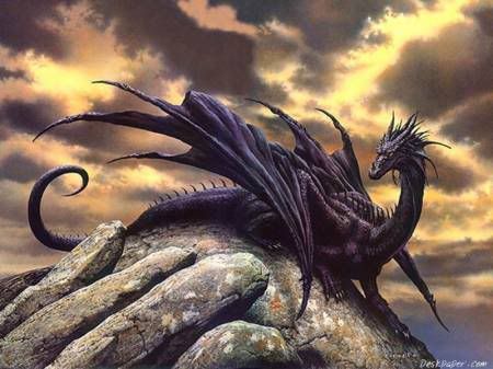 http://i361.photobucket.com/albums/oo60/cocke69/dragon2.jpg?t=1264539375