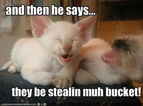 funny images of kittens. funny-pictures-kittens-tell-
