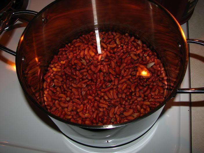 RedBeans004.jpg