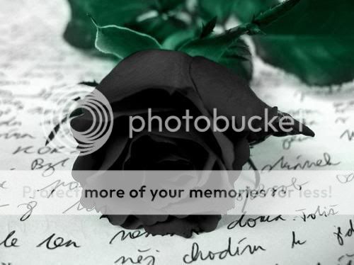 Black rose Pictures, Images and Photos